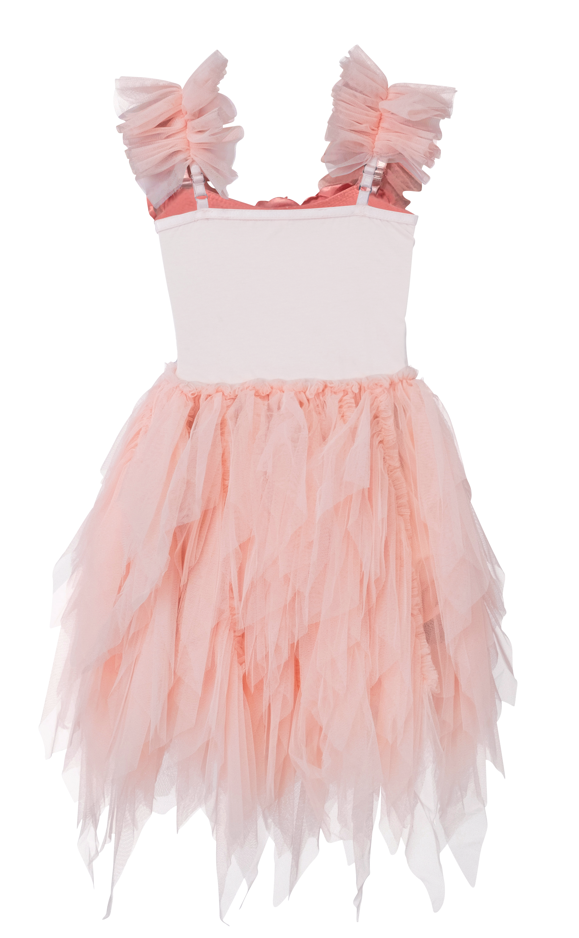 Dior Valere Tutu Dress